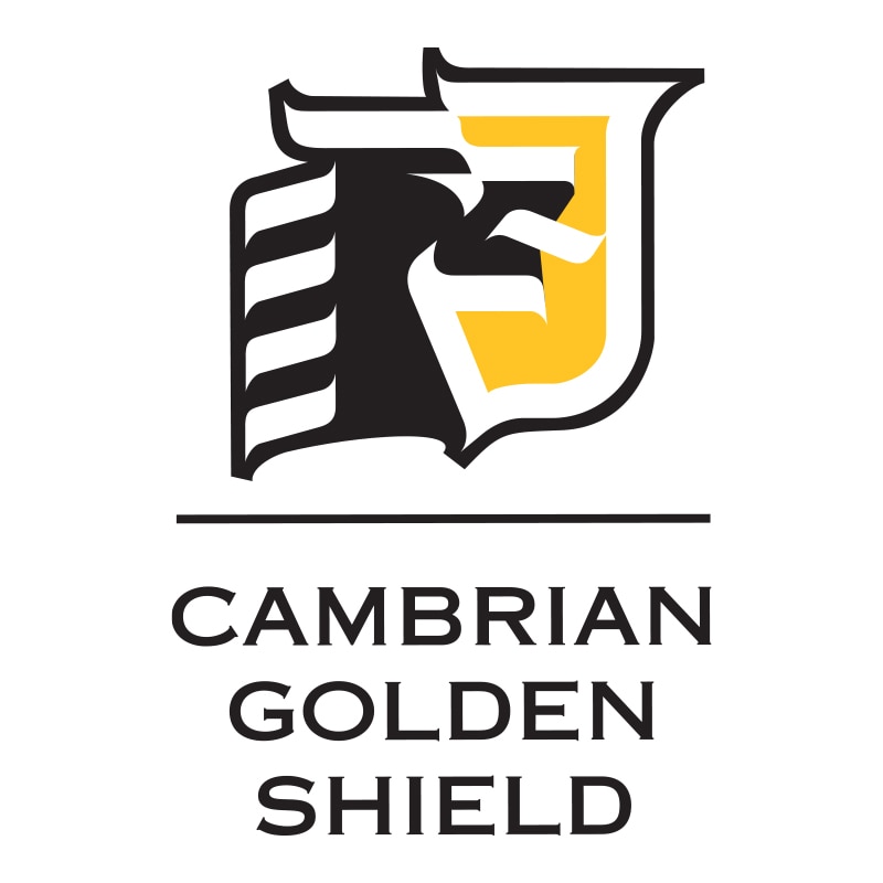 Logo 3