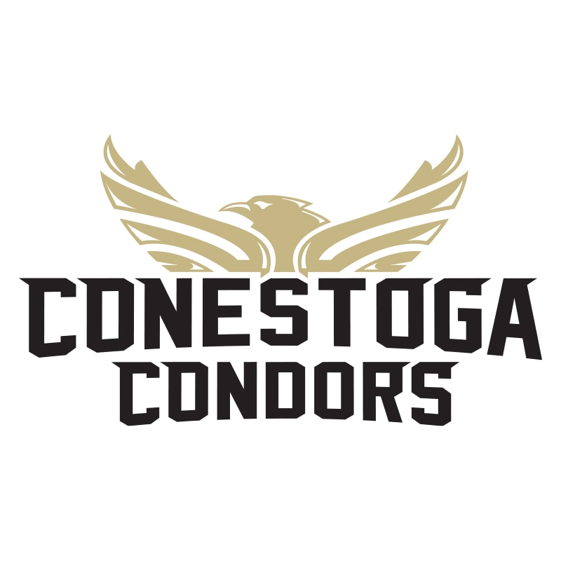 Logo 2