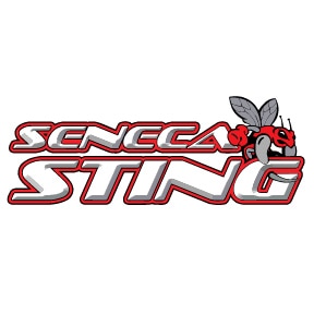 Logo 2