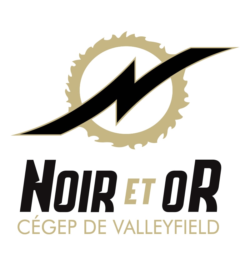 Logo 2